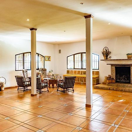 Casa Rural Cigarral Del Pintor 톨레도 외부 사진
